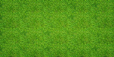 Yeşil çimen arka planı. Yeşil çimen deseni ve doku. Kapat..