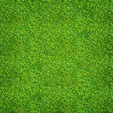 Yeşil çimen arka planı. Yeşil çimen deseni ve doku. Kapat..