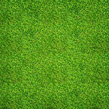 Yeşil çimen arka planı. Yeşil çimen deseni ve doku. Kapat..