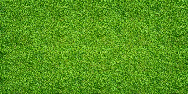 Yeşil çimen arka planı. Yeşil çimen deseni ve doku. Kapat..