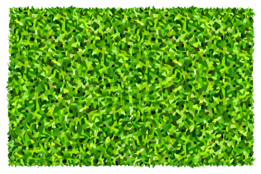 Yeşil çimen arka planı. Yeşil çimen dokusu. Yeşil çimen, pürüzsüz doku. Görüntü.