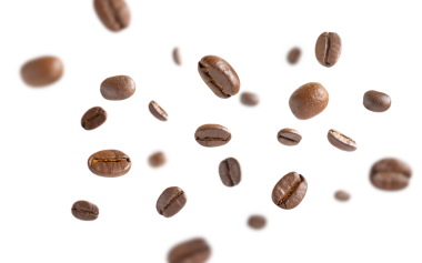 Kahve çekirdekleri havaya kalkar. Kavrulmuş kahve çekirdekleri kesme yolu ile beyaz arka planda uçuyor. Kapat..