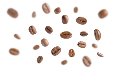 Kahve çekirdekleri havaya kalkar. Kavrulmuş kahve çekirdekleri kesme yolu ile beyaz arka planda uçuyor. Kapat..