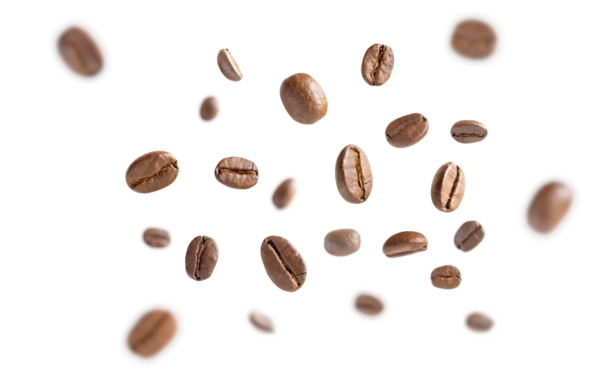 Kahve çekirdekleri havaya kalkar. Kavrulmuş kahve çekirdekleri kesme yolu ile beyaz arka planda uçuyor. Kapat..