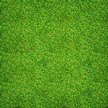 Arka plan için yeşil çimen dokusu. Yeşil çimen deseni ve doku arkaplanı. Resmi kapat..