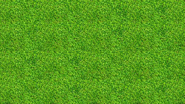 Arka plan için yeşil çimen dokusu. Yeşil çimen deseni ve doku arkaplanı. Resmi kapat..