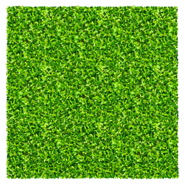 Yeşil çimen arka planı. Yeşil çimen dokusu.