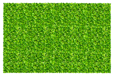 Yeşil çimen arka planı. Yeşil çimen dokusu.