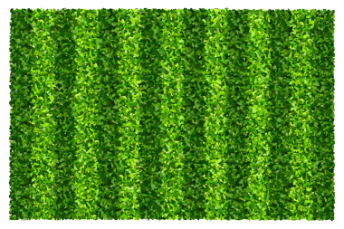 Spor ve eğlence için yeşil çimen alanı arka planı. Gerçekçi yeşil çimen deseni ve dokusu.