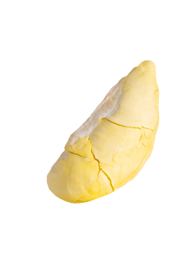 Taze Durian posası. Durian meyvesi beyaz arkaplanda izole.