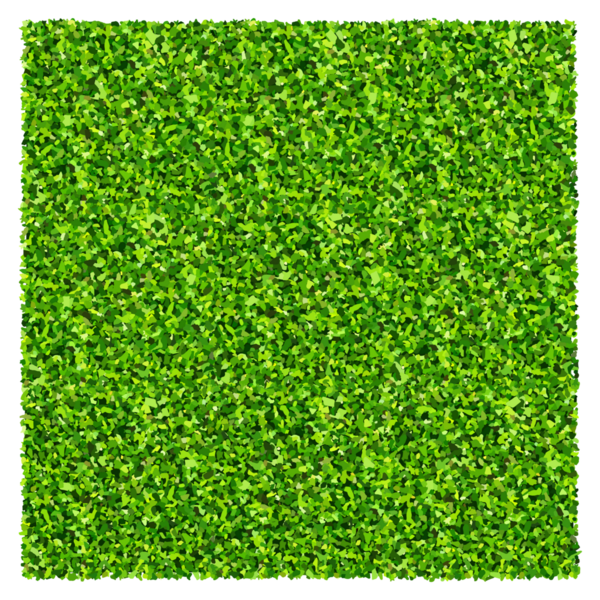 Yeşil çimen arka planı. Yeşil çimen dokusu.