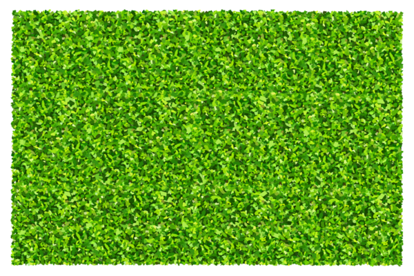 Yeşil çimen arka planı. Yeşil çimen dokusu.