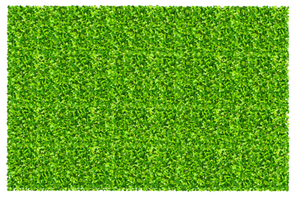 Yeşil çimen arka planı. Yeşil çimen dokusu.