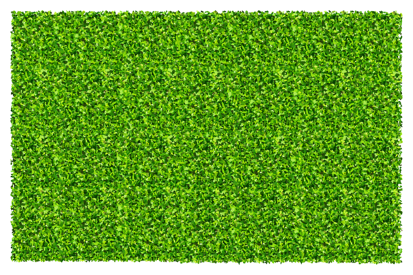 Yeşil çimen arka planı. Yeşil çimen dokusu.