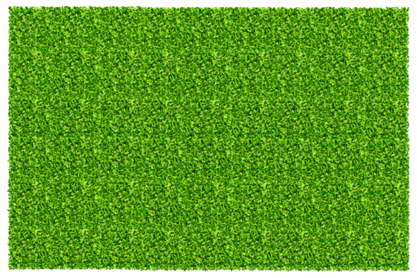 Yeşil çimen arka planı. Yeşil çimen dokusu.