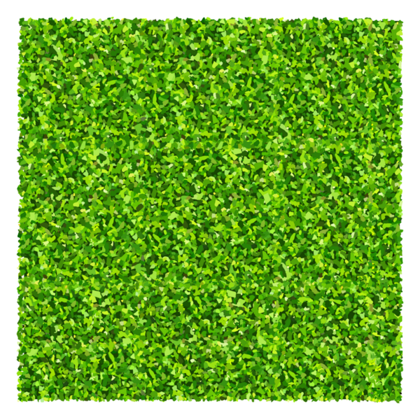 Yeşil çimen arka planı. Yeşil çimen dokusu.