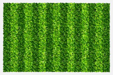 Spor ve eğlence için yeşil çimen alanı arka planı. Gerçekçi yeşil çimen deseni ve arka plan dokusu. Vektör.