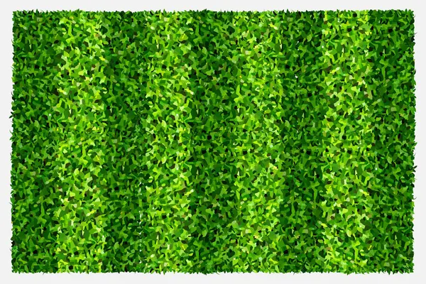 Spor ve eğlence için yeşil çimen alanı arka planı. Gerçekçi yeşil çimen deseni ve arka plan dokusu. Vektör.