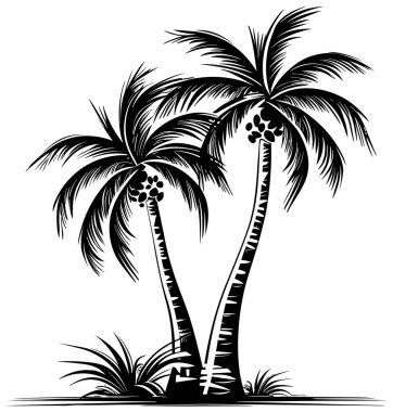 Siyah ve beyaz palmiye ağaçlarının linocut tarzı çizimi.