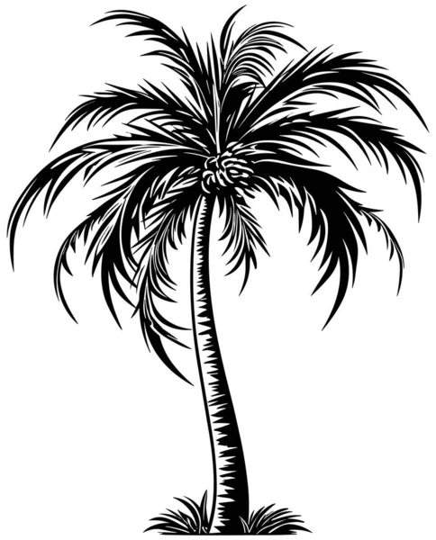 Linocut Stijl Illustratie Van Zwart Witte Palmboom — Stockvector