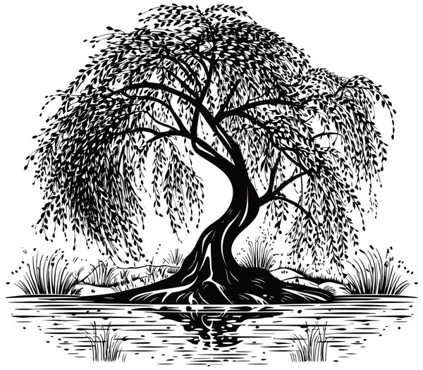 Linokut Stil Illustration Svart Och Vitt Pilträd — Stock vektor