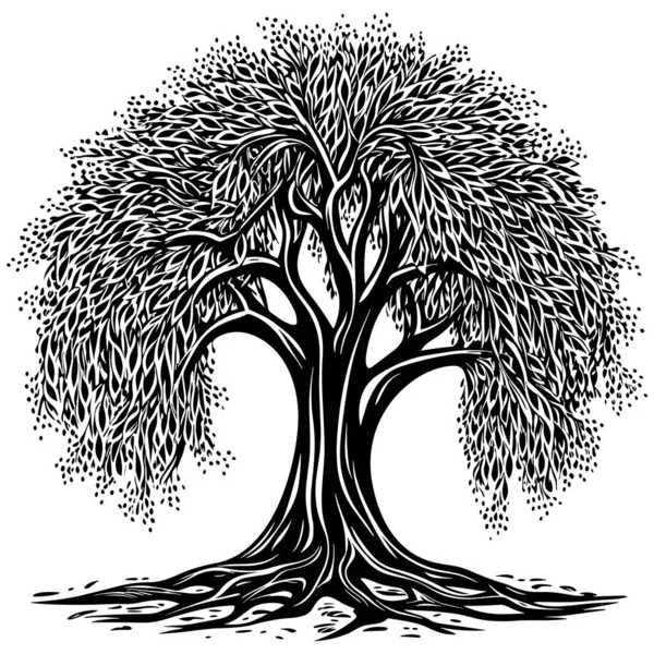 Стиль Лінолеуму Ілюстрація Чорно Білого Дерева Верби — стоковий вектор