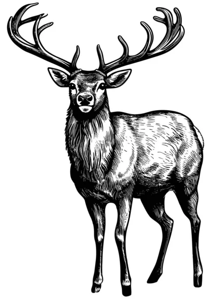 Linocut Style Illustration Reindeer White Background — Stock Vector