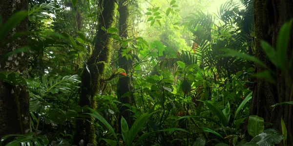 Τροπικό Τροπικό Δάσος Στην Κόστα Ρίκα — Φωτογραφία Αρχείου