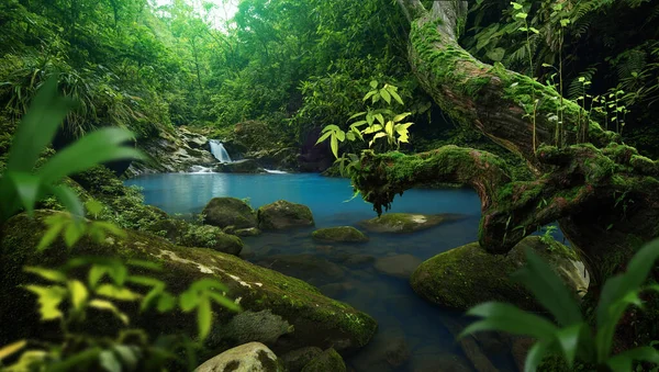 Fiume Blu Nella Foresta Pluviale Tropicale Con Grandi Alberi — Foto Stock