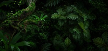 Bir sürü bitki içeren tropik orman manzarası