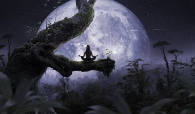 Dolunay ve meditasyon doğada