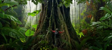 Orta Amerika 'da tropikal yağmur ormanları