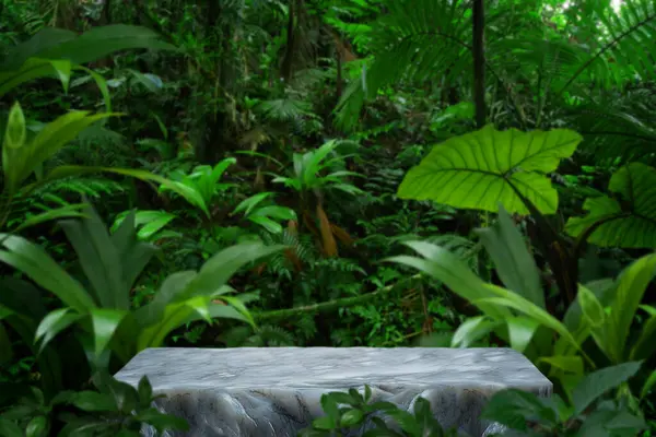 Base Marbre Pour Présentation Produits Dans Forêt Tropicale Images De Stock Libres De Droits