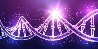 Soyut, parlak DNA molekül yapısı mor arkaplan fütüristik, parlak, düşük çokgen tarzında. DNA sarmalı. Genetik, biyoteknoloji konsepti. Modern bağlantı tasarımı vektör illüstrasyonu