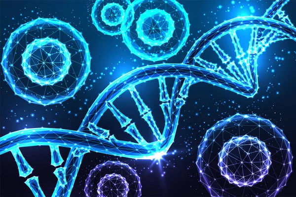 概要暗青色を背景とした発光性の低い多軸幹細胞とDnaスパイラル分子を用いた再生医療の未来的概念 現代のワイヤフレームメッシュデザインベクトル図 — ストックベクタ
