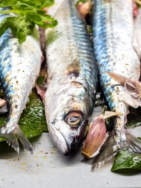 Taze uskumru fırın için hazır.