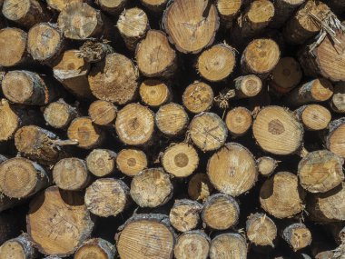 Kesilen günlüklerin arkaplanı kapat