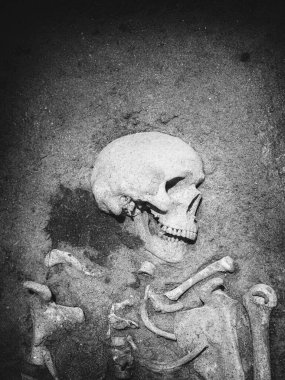 Bir iskeletin arkeolojik kazısının yarısı hala toprağa gömülü.