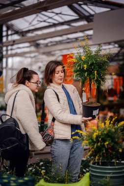 Kadın çiçeklerle ve yeşilliklerle çevrili bir bahçe merkezinde arkadaşlarıyla alışveriş yaparken saksı bitkisini teftiş ediyor..