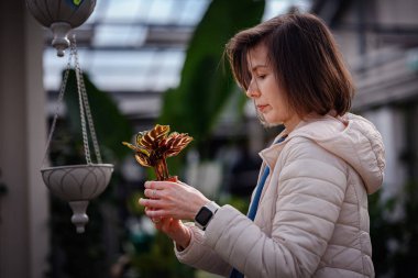 Hafif ceketli bir kadın, bitkinin fidanlığında desenli yaprakları olan küçük bir Calathea bitkisini yakından inceliyor..