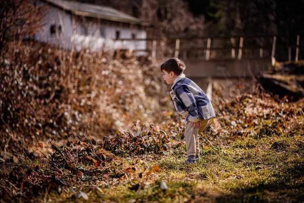 Küçük bir çocuk odaklanarak öne doğru eğilir, doğayı yakından izler ve yerde bir şeyler öğrenir, tamamen açık havada keşif yapar..