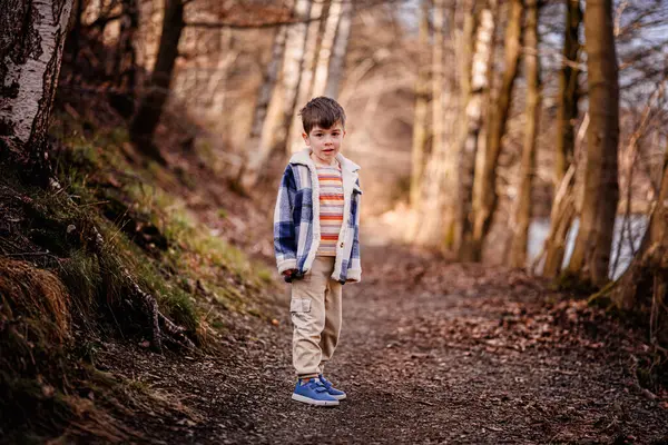 Mavi ekose ceketli bir çocuk ağaçlarla kaplı huzurlu bir orman yolunda yürüyor..