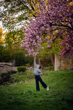 Neşeli bir kız yemyeşil bir parkta çiçek açan kiraz çiçeklerine doğru uzanır, bahar doğasının güzelliğinin tadını çıkarır..