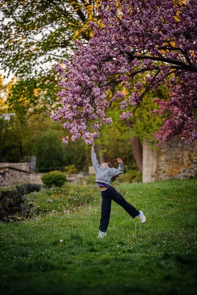 Neşeli bir kız yemyeşil bir parkta çiçek açan kiraz çiçeklerine doğru uzanır, bahar doğasının güzelliğinin tadını çıkarır..