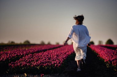 Altın saat boyunca, doğa ve ılık ışıkla çevrili pembe laleler arasında yürüyen bir kadının arka görüntüsü..