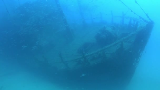 Głęboka Scena Podwodna Wrak Statku Nad Piaskiem Dna Morskiego — Wideo stockowe