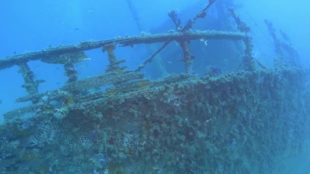 Βαθιά Κατάδυση Shipweck Θολό Νερό — Αρχείο Βίντεο