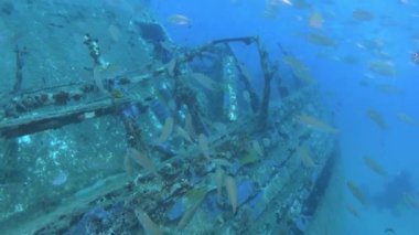 Sualtı sahnesi - Bir gemi enkazında dalış