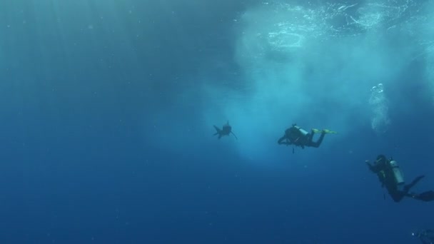 水中シーン Longimanusサメはスキューバダイバーの近くで泳いでいます — ストック動画