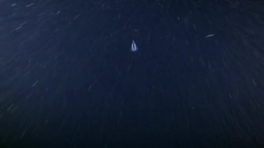 Nature underwater - Cuttlefish hunts a little fish at night